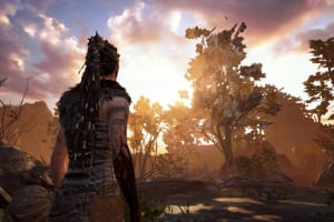 Hellblade Senua S Sacrifice Switch Eshop Game Nintendo Life