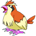 WildPidgeyAppears