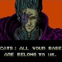 Cats