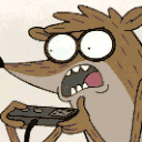 TheAmazingRaccoon