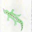 Lizard
