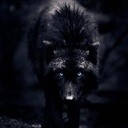 Wolflover