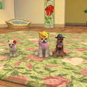 Nintendohaala12
