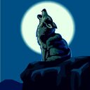 hypercoyote