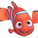 Reef7009