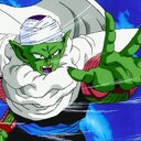 piccolo85
