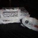 nes_pimp
