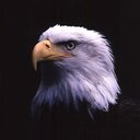 mreagleboy