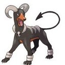 Houndoom2000