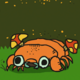 Stomatopod17