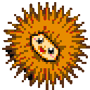 Oscarsome
