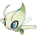 Clove32123