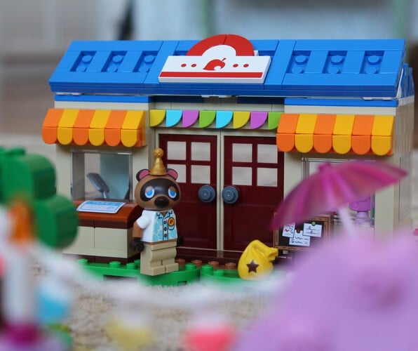 Which Is The Best LEGO Animal Crossing Set?