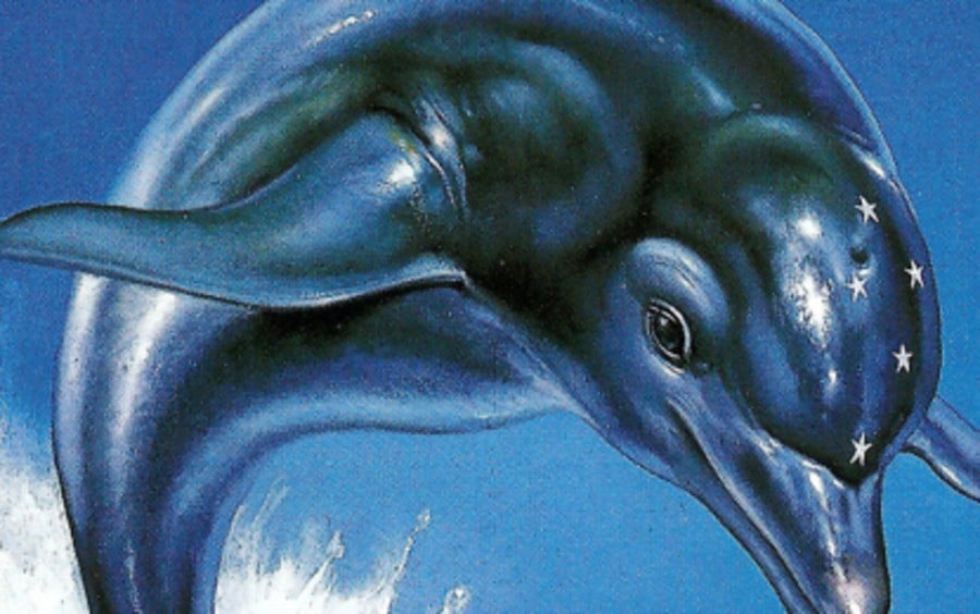 Ecco the Dolphin