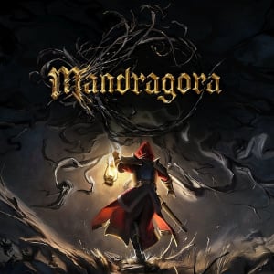 Mandragora