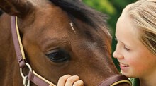 My Horse and Me