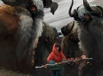 Herdling (Switch) - A Serene, Soothing Animal Trek With Some Rough Edges