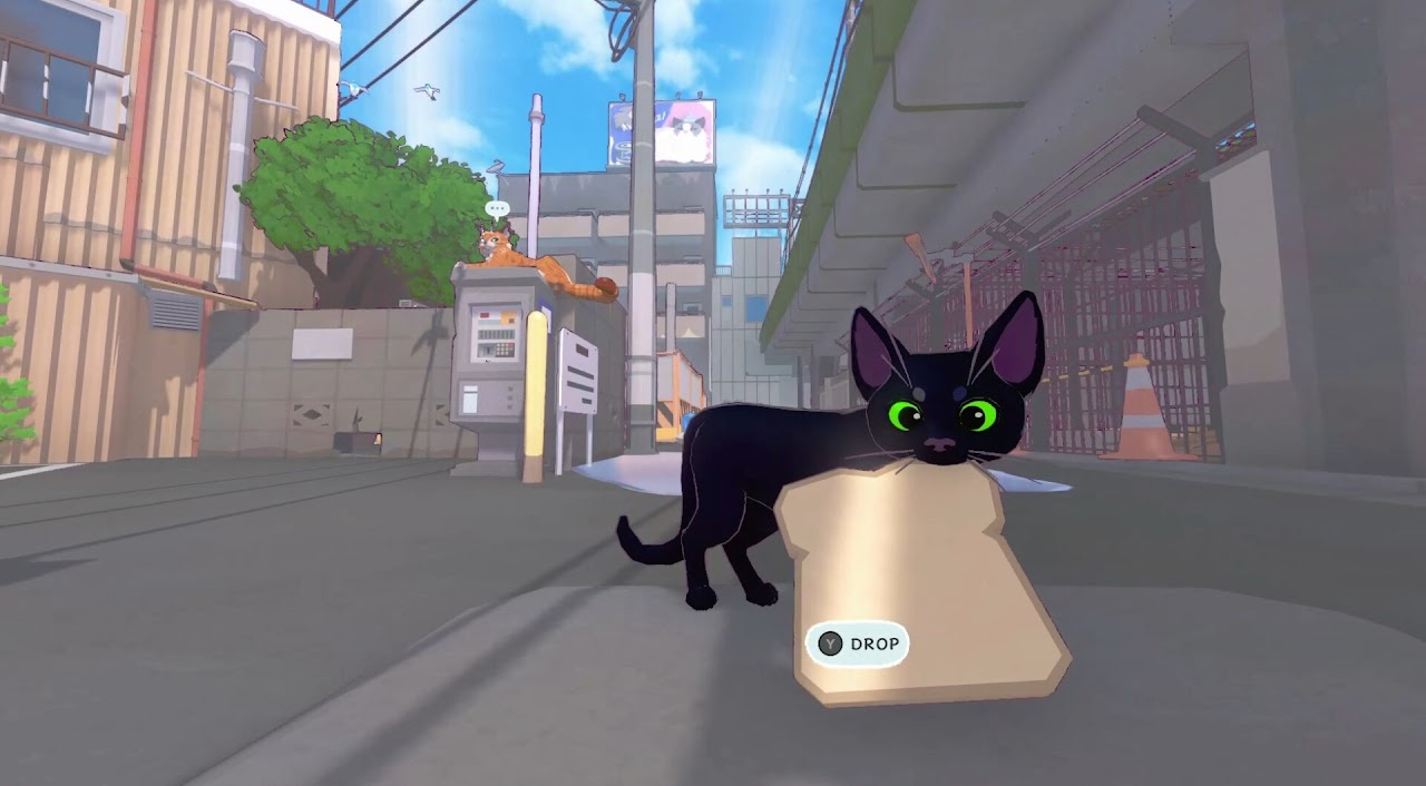 Cat Game Online: 1 Hour 