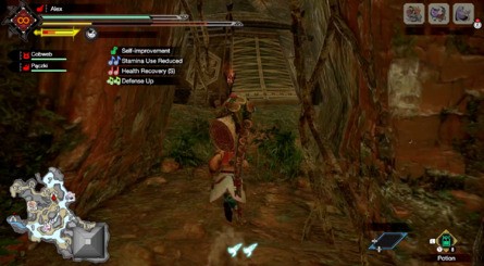 Flooded Forest Sub-Camp Location 3