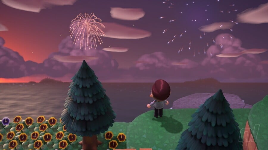 Animal Crossing New Horizons Island Fireworks