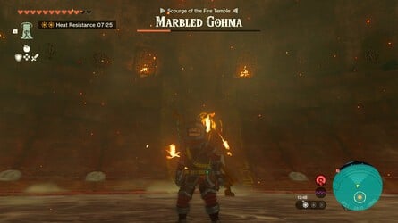 Zelda: Tears Of The Kingdom: How To Defeat Marbled Gohma 8