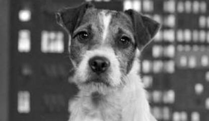 Nintendo Appoints a Celebrity 'Spokesdog'