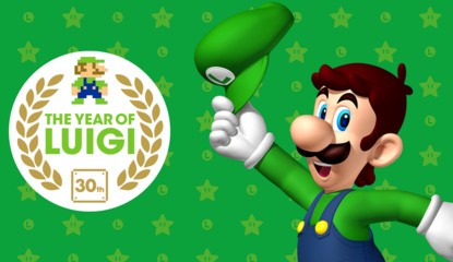 Looking Back On The Year Of Luigi