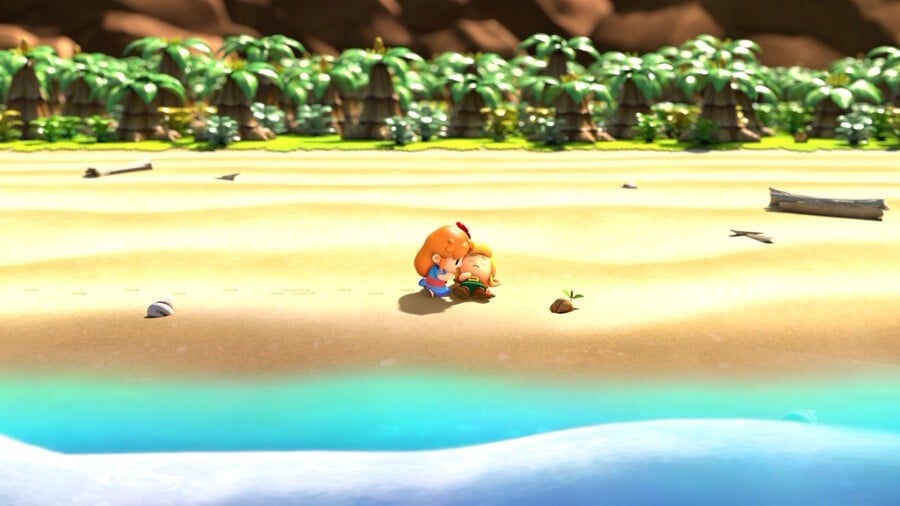 Marin Finds Link on the beach