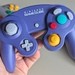 Review: Nintendo Switch Online GameCube Controller - The Return Of The King