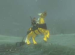 Zelda: Tears Of The Kingdom: All Pony Points Rewards - What Are Pony Points?