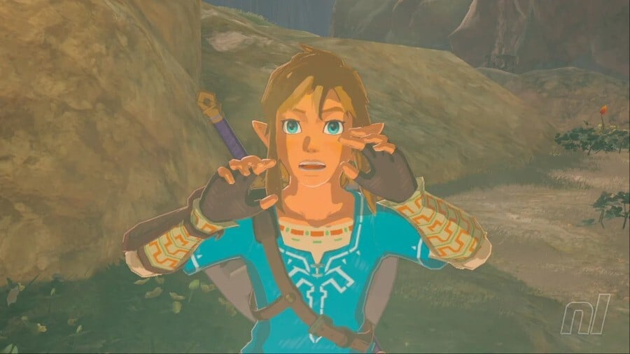 Zelda: Breath of the Wild Link Shock