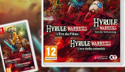 Some Hyrule Warriors: Age Of Calamity Cases Have Gone A Bit Overboard