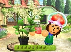 StreetPass Games Producers Tell Origins of Mii Plaza's Playground