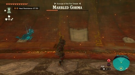 Zelda: Tears Of The Kingdom: How To Defeat Marbled Gohma 7