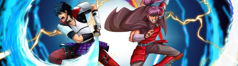 VASARA Collection (Switch eShop)