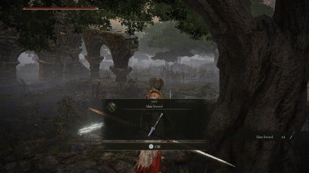 Elden Ring Tarnished Edition content