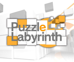 Puzzle Labyrinth Cover