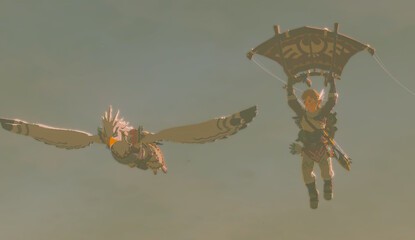 One Zelda: Breath Of The Wild Player Has Discovered The Ultimate Way To Paraglide