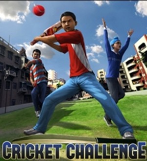 No need to bat an eyelid, it's only cricket