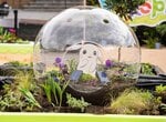A Lovely Little Pokémon-Themed Garden Has Opened Up In London, UK