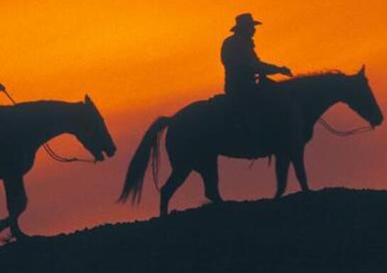 Sunset Riders (Super Nintendo)