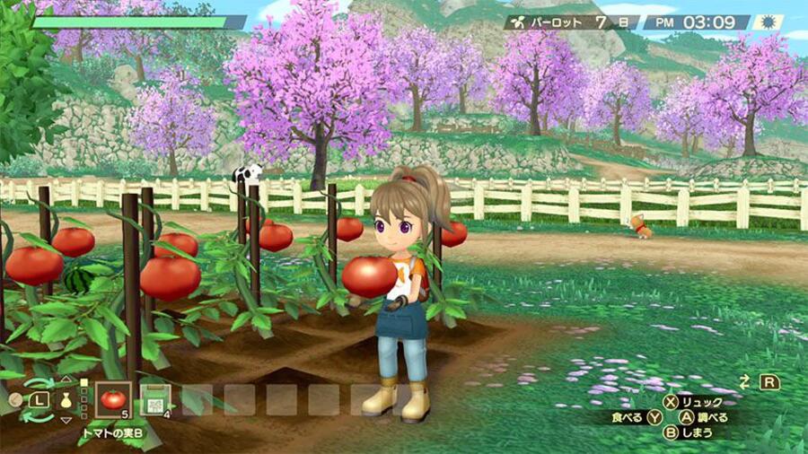 Everything We Know About Story Of Seasons: A Wonderful Life 1