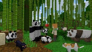 bamboo scene