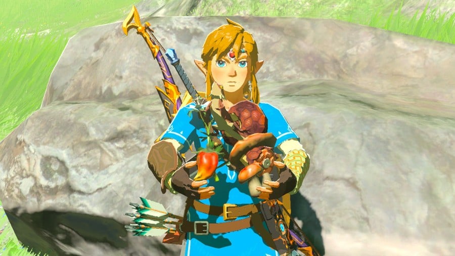 Zelda: Breath of the Wild Ingredients