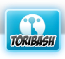 Toribash Cover