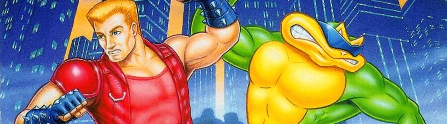 Battletoads & Double Dragon (NES)