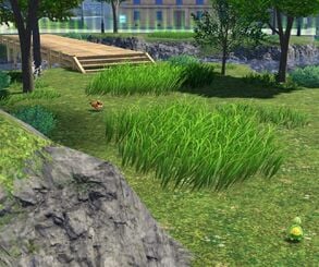 Pokémon Legends: Z-A