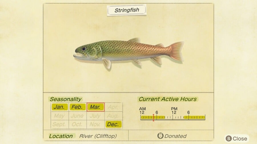 Stringfish Animal Crossing New Horizons