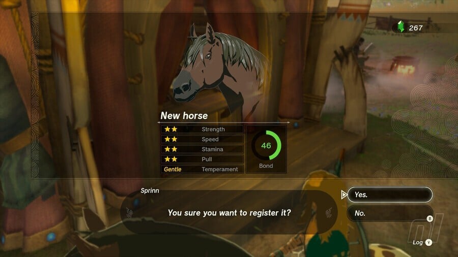 Zelda: Tears Of The Kingdom: All Pony Points Rewards - What Are Pony Points? 3