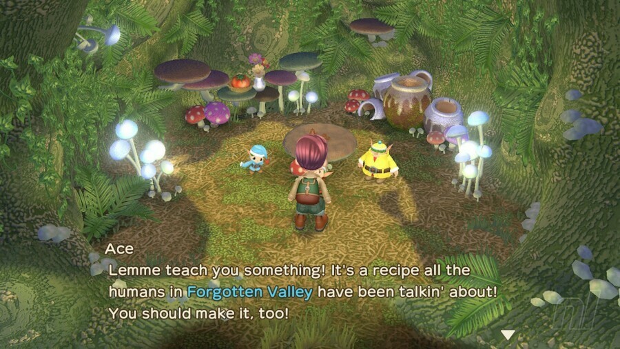 Story Of Seasons: A Wonderful Life - A Beginner's Guide To Making Money, Friends, And More 16